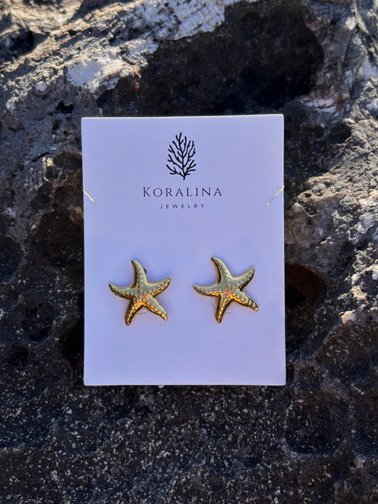 Ohrringe Seestern