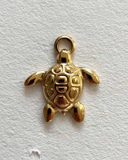 image00023